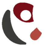 Rothstein Physiotherapie GmbH